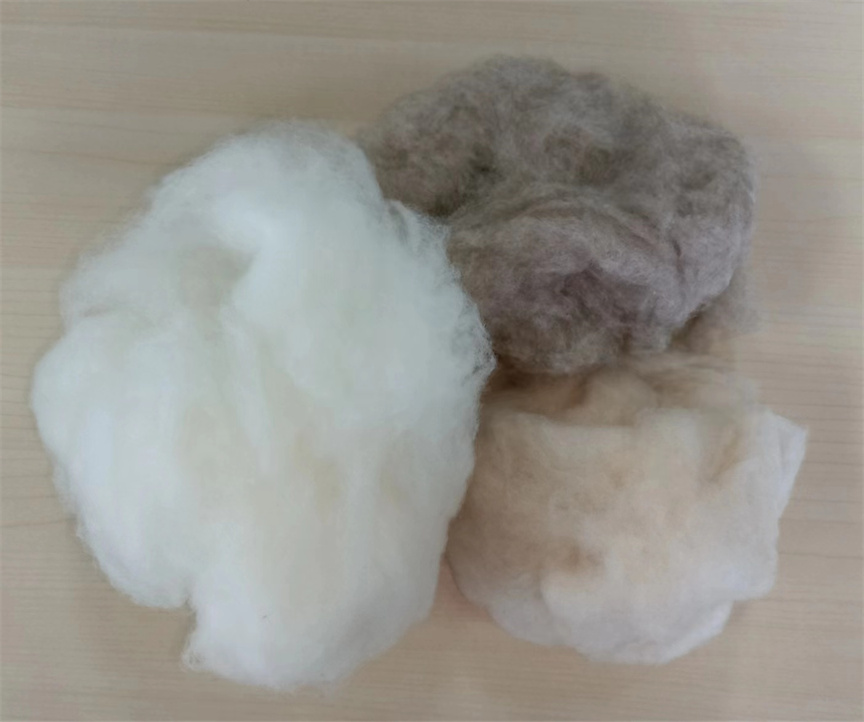 Chinese sheep wool