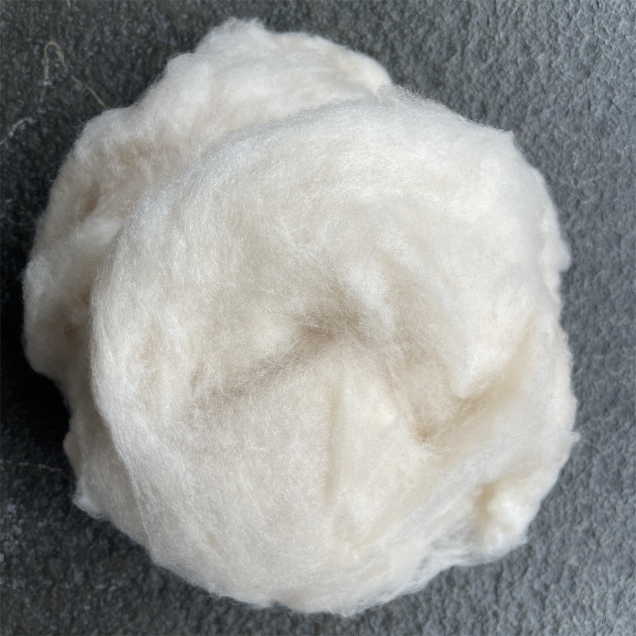 carded Chinese sheep wool ivory