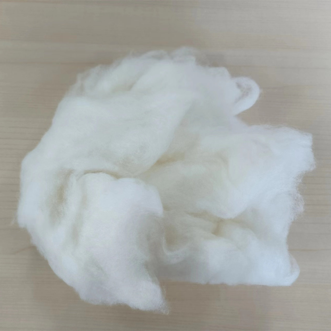 combed sheep wool white