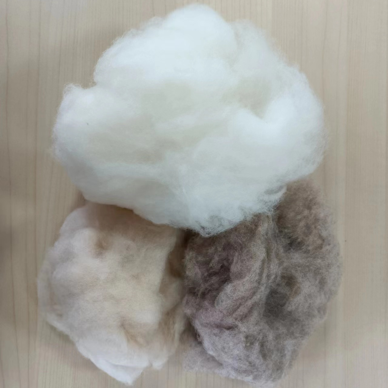 wholesale sheep wool